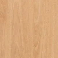 Beech